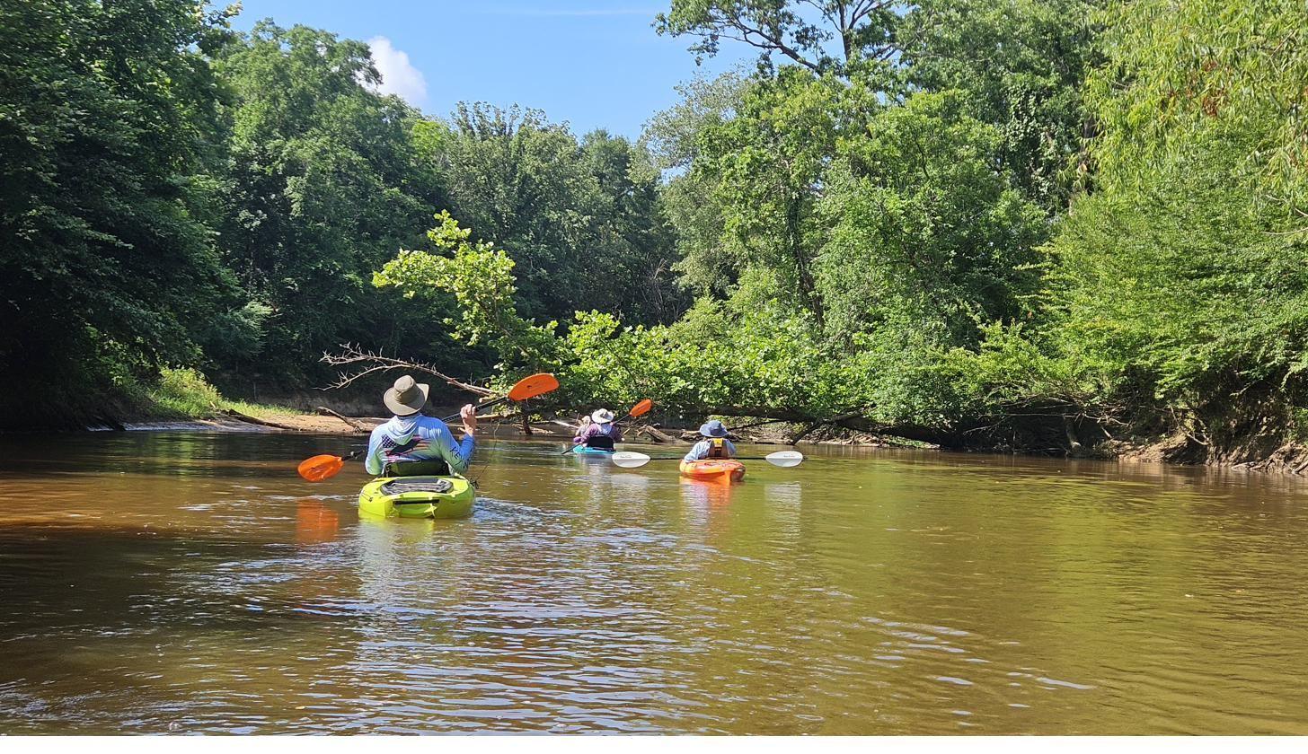 Kayakers paddling a quiet stretch of water near Cypress Landing